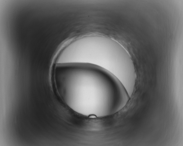 X0000099980104200805231031