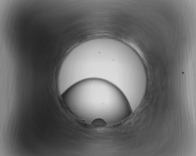 X0000099980105200805231031