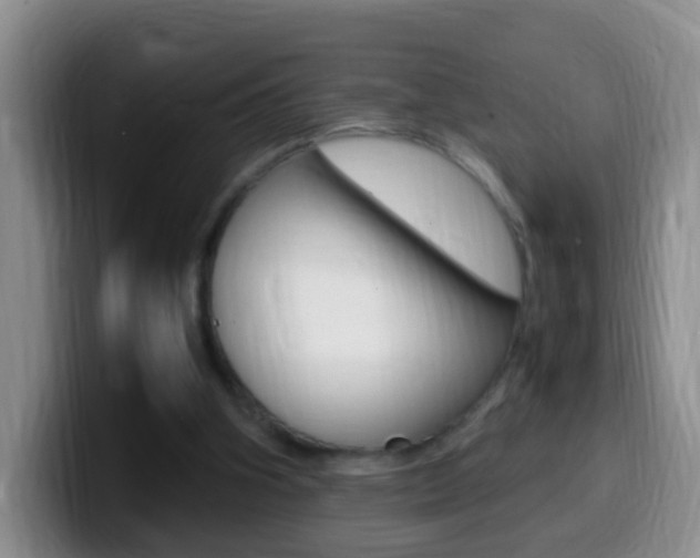 X0000099980106200805231031