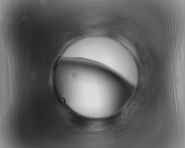 X0000099980107200805231031