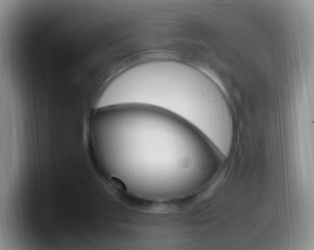 X0000099980109200805231031