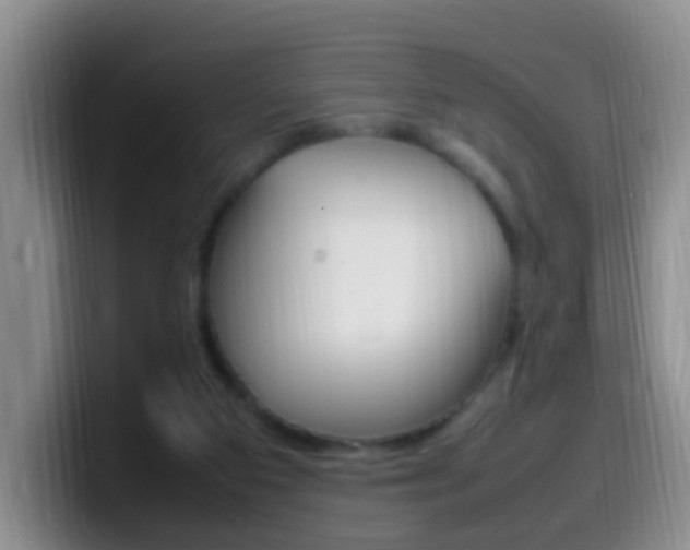 X0000099980113200805231031