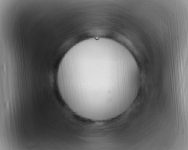 X0000099980114200805231031