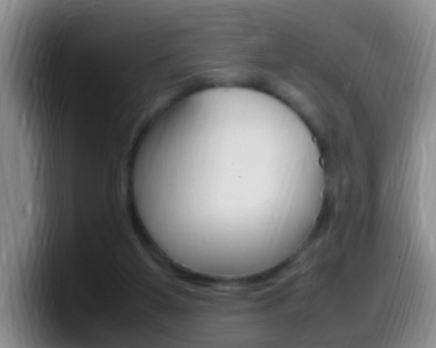 X0000099980115200805231031