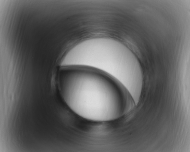 X0000099980116200805231031
