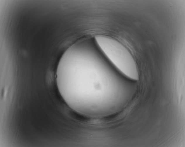 X0000099980117200805231031