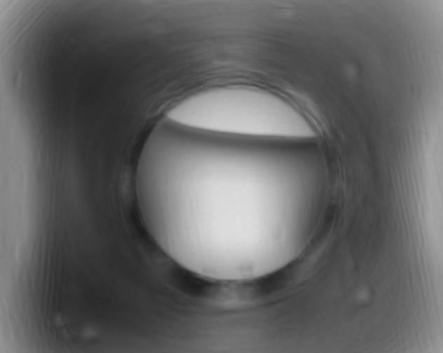 X0000099980121200805231031
