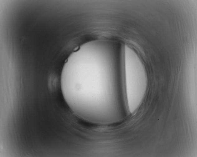 X0000099980123200805231031