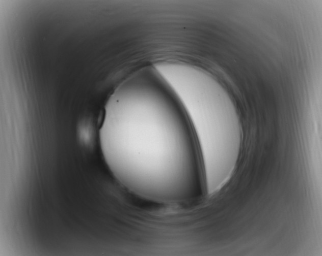 X0000099980124200805231031