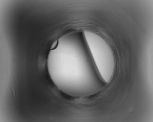 X0000099980125200805231031