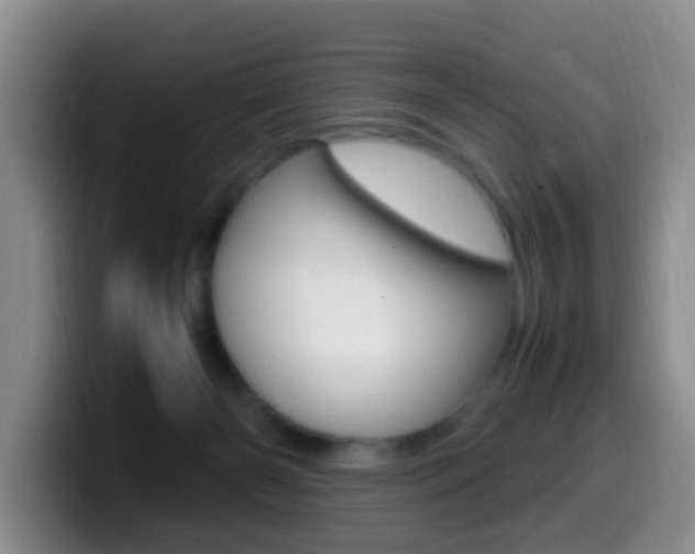 X0000099980126200805231031