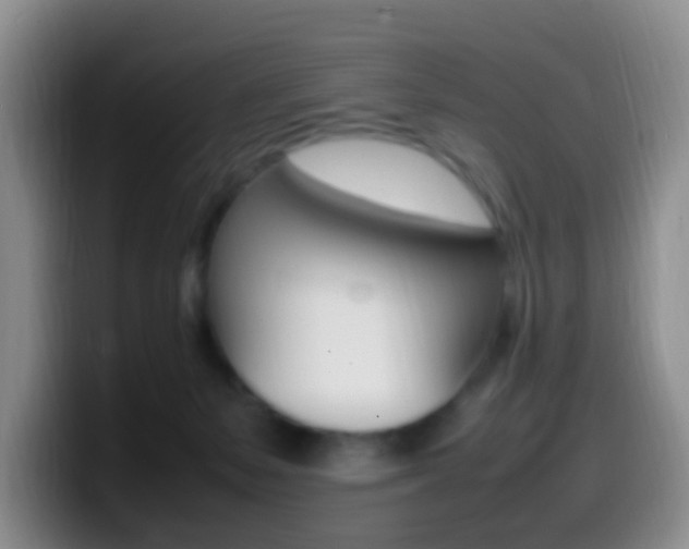 X0000099980127200805231031