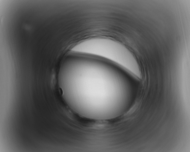X0000099980128200805231031
