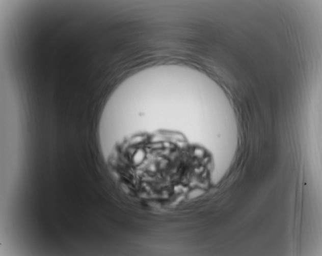 X0000099980129200805231031