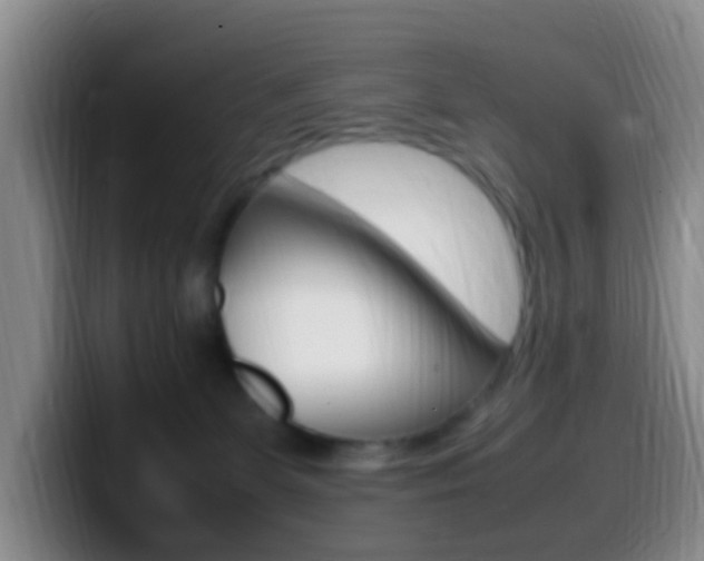 X0000099980131200805231031