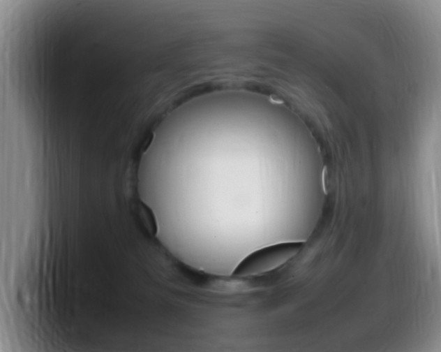 X0000099980133200805231031