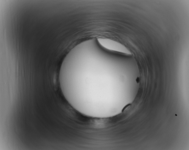 X0000099980134200805231031