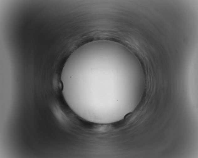 X0000099980135200805231031