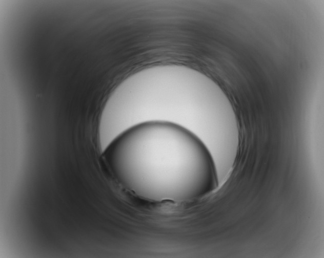 X0000099980136200805231031