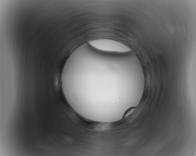 X0000099980138200805231031