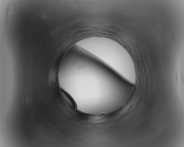 X0000099980139200805231031