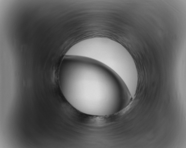 X0000099980140200805231031
