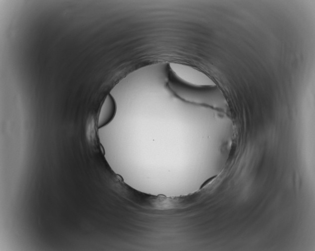 X0000099980142200805231031