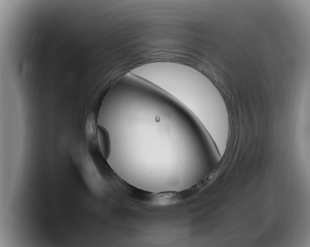 X0000099980143200805231031