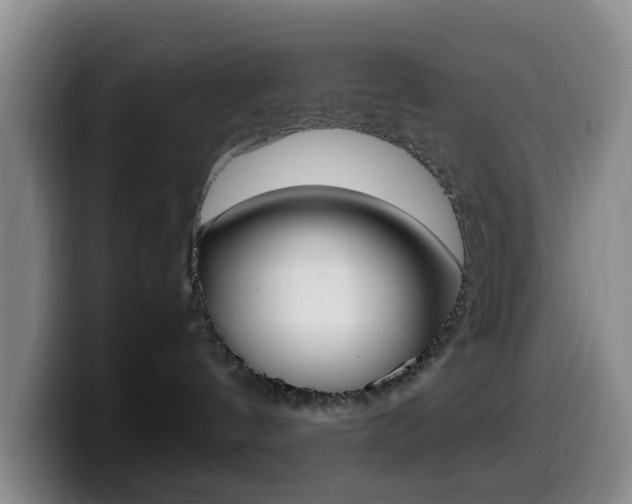 X0000099980144200805231031