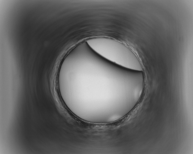 X0000099980145200805231030