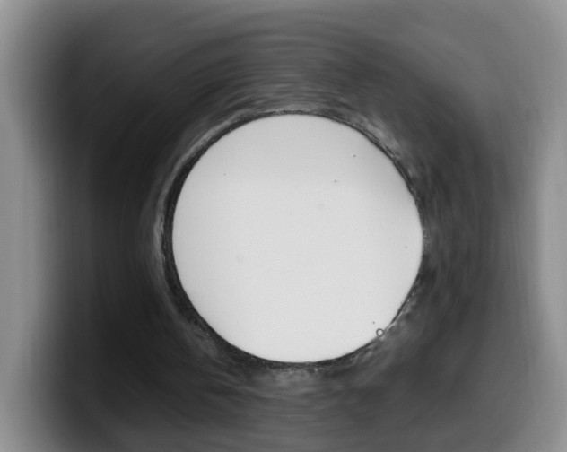 X0000099980146200805231030