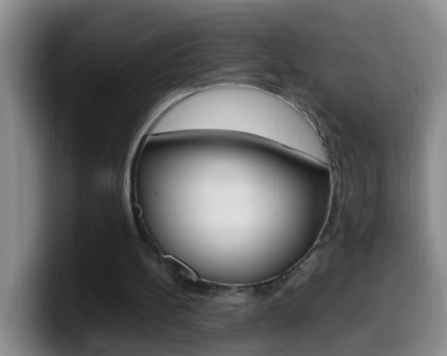 X0000099980148200805231030