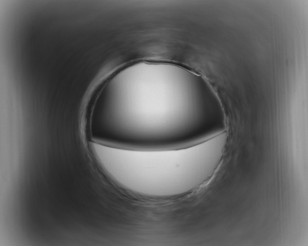X0000099980150200805231030