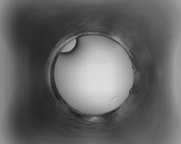 X0000099980151200805231030
