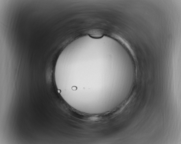 X0000099980153200805231030