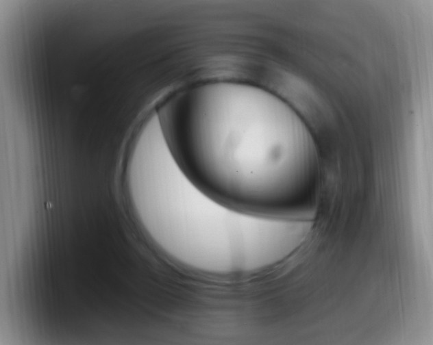 X0000099980160200805231030