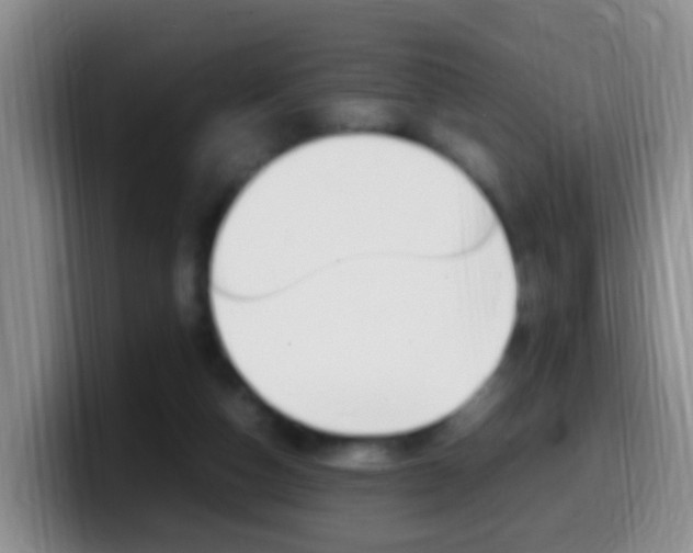 X0000099980162200805231030