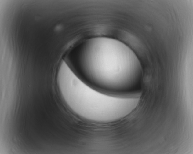 X0000099980164200805231030