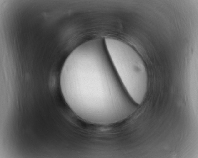 X0000099980165200805231030