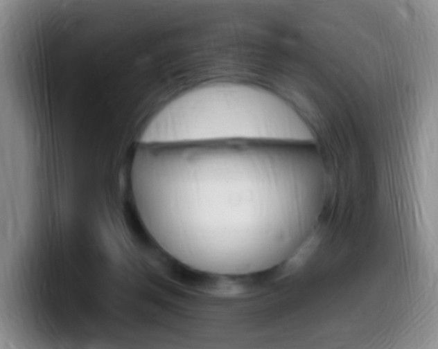 X0000099980166200805231030