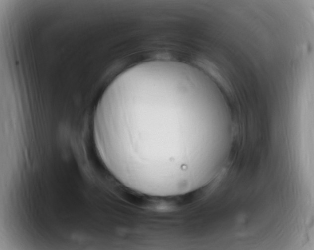 X0000099980167200805231030