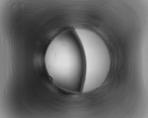 X0000099980168200805231030