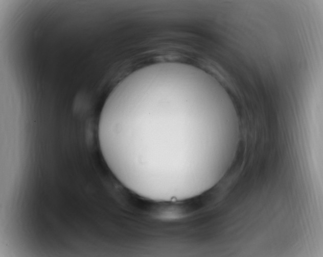 X0000099980169200805231030