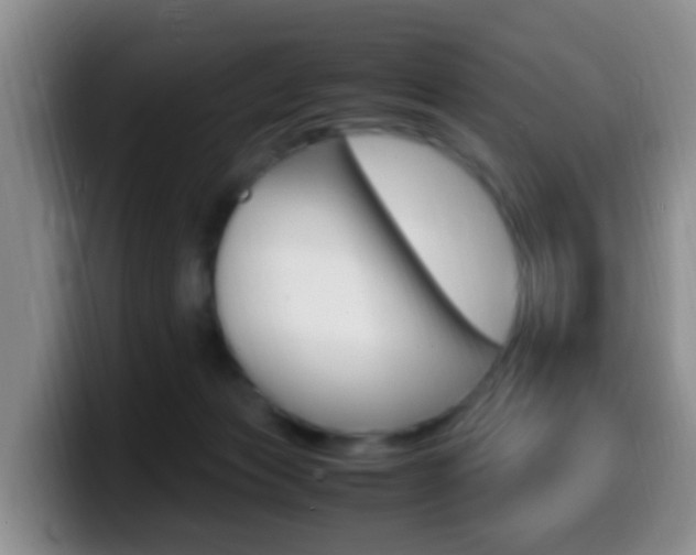 X0000099980173200805231031