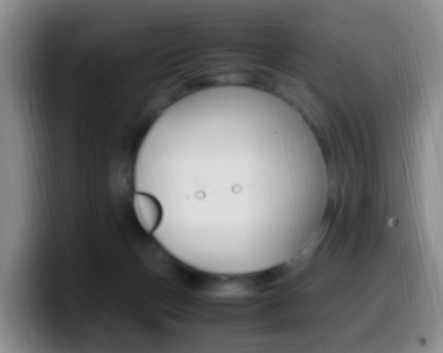 X0000099980175200805231031