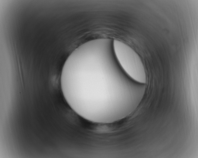 X0000099980177200805231031