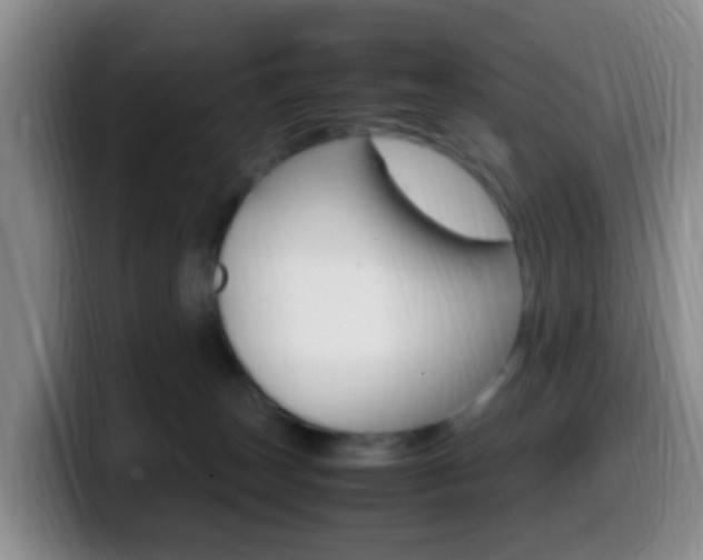 X0000099980179200805231031