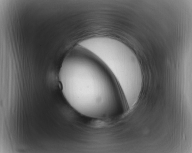 X0000099980180200805231031