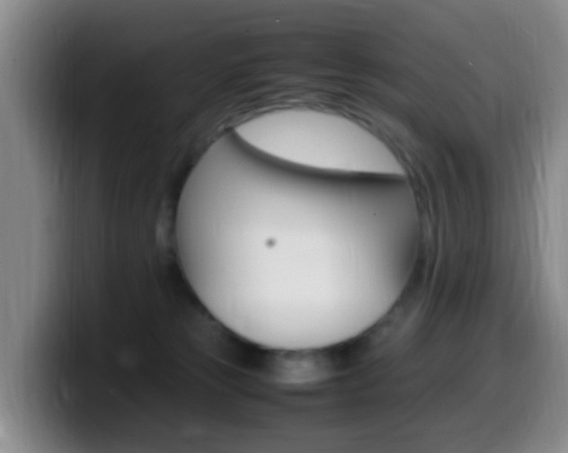 X0000099980181200805231031
