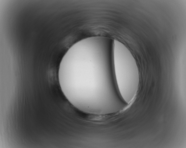 X0000099980182200805231031